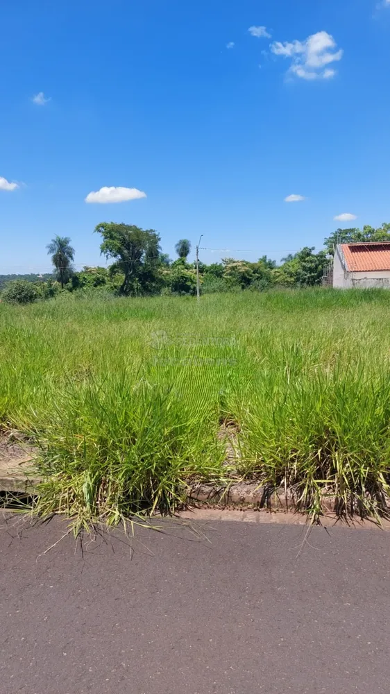 Terreno, 250 m² - Foto 1