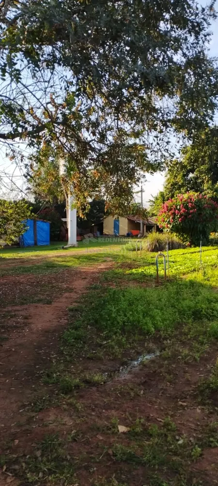 Sítio, 3 quartos, 2 hectares - Foto 2