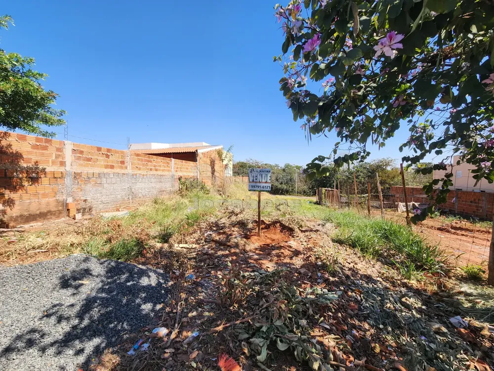 Terreno, 301 m² - Foto 3