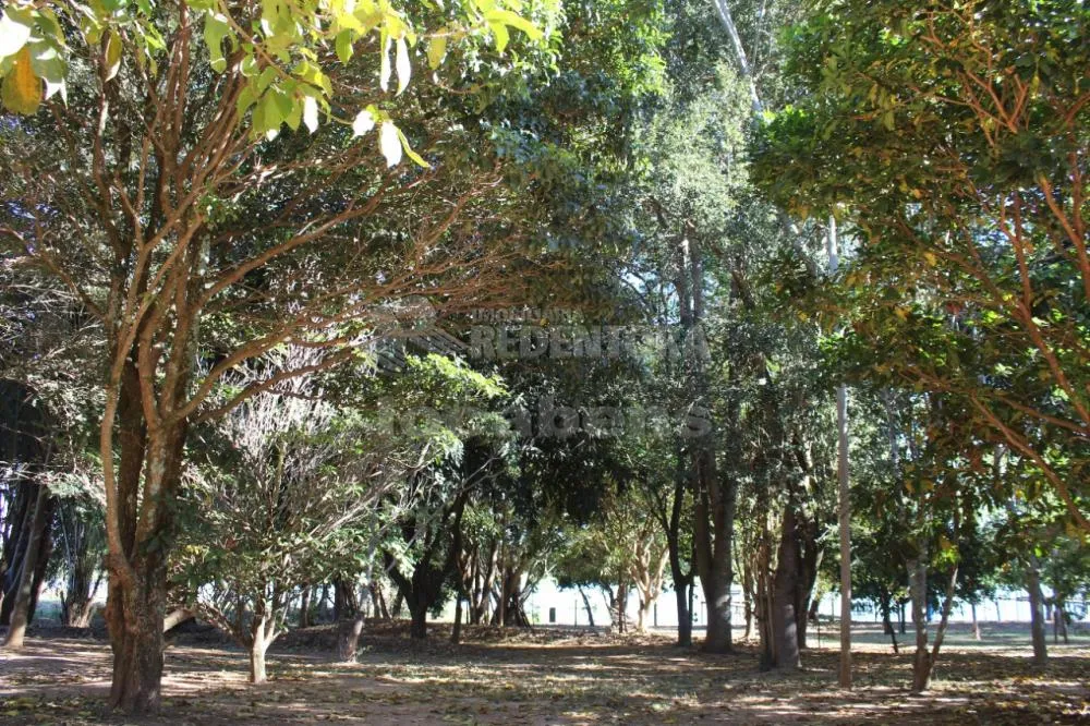 Chácara, 2 quartos, 3765 m² - Foto 1