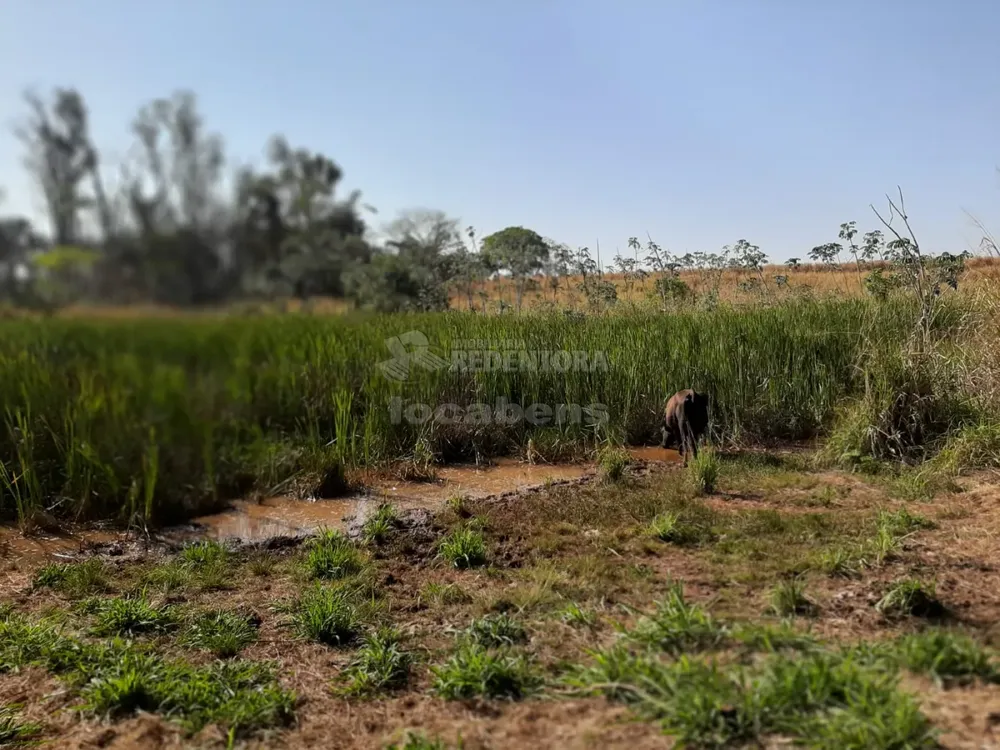 Fazenda, 61 hectares - Foto 8