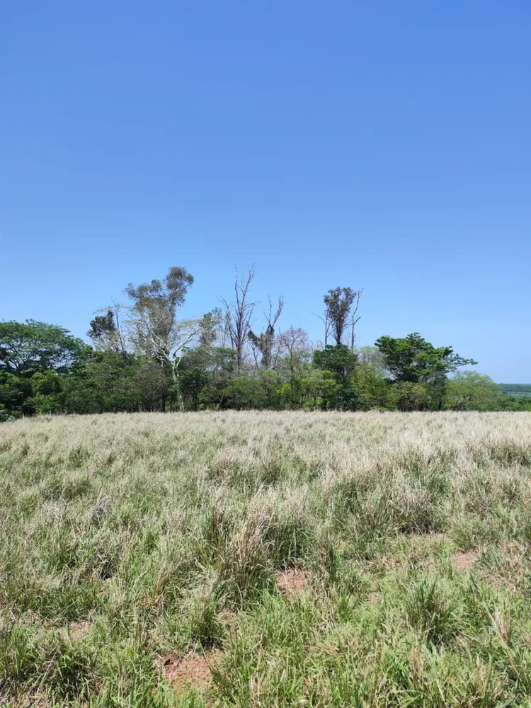Fazenda, 61 hectares - Foto 3