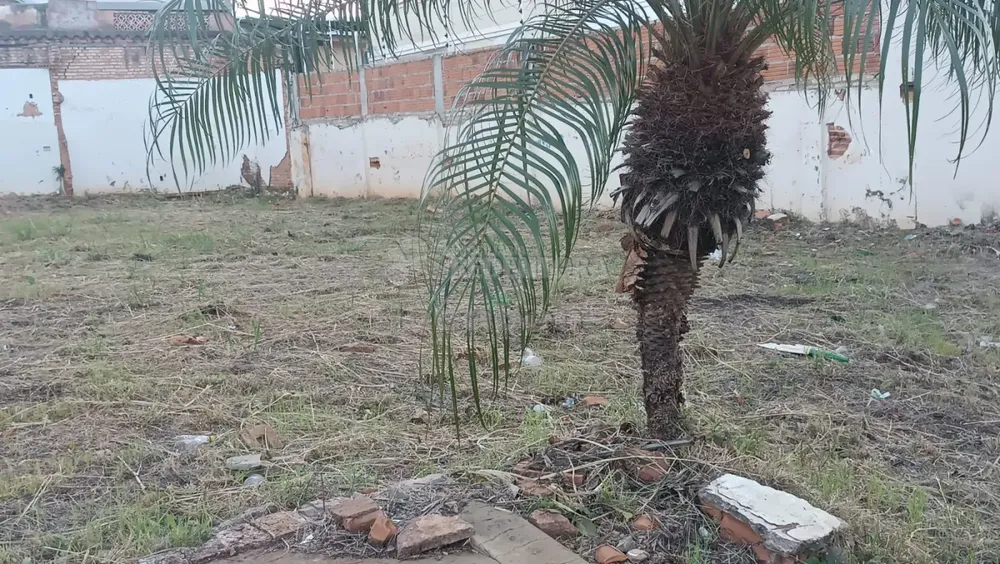 Terreno, 253 m² - Foto 2