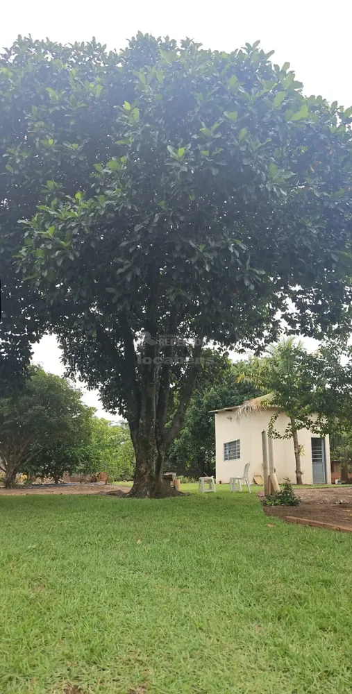 Chácara, 1146 m² - Foto 4