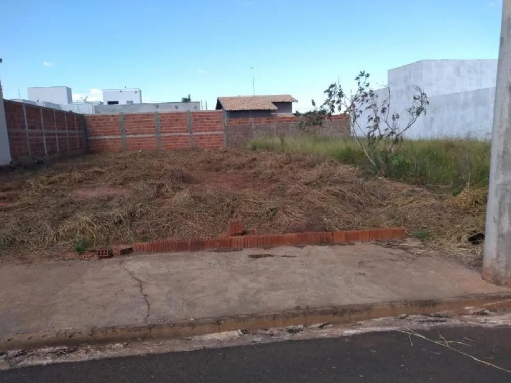 Terreno, 250 m² - Foto 4