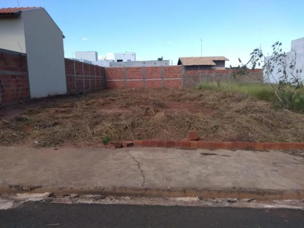 Terreno, 250 m² - Foto 3