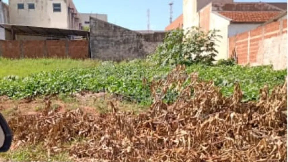 Terreno, 350 m² - Foto 5