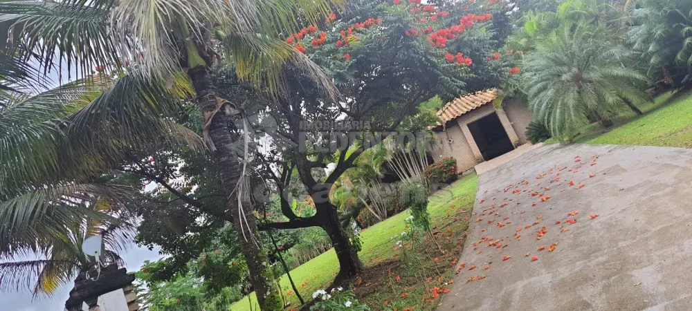 Chácara, 3 quartos, 2750 m² - Foto 3