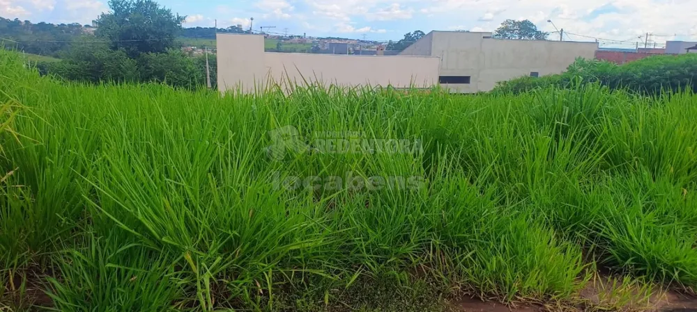 Terreno, 229 m² - Foto 2