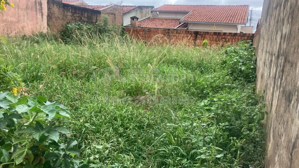 Terreno, 200 m² - Foto 3