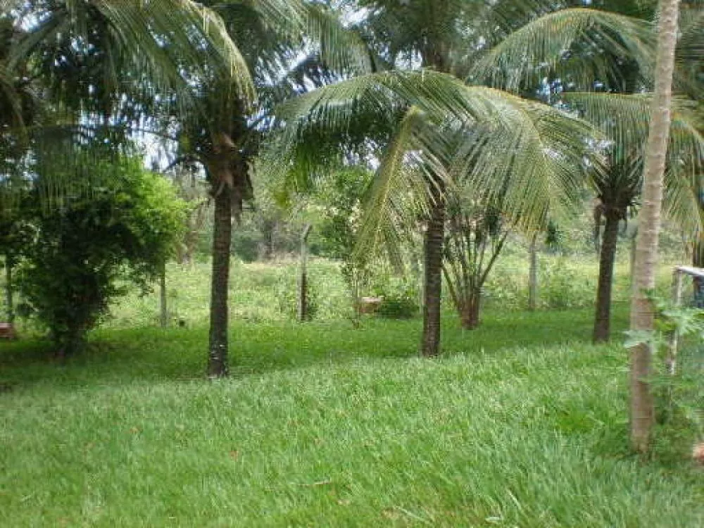 Fazenda à venda com 3 quartos, 24200m² - Foto 5