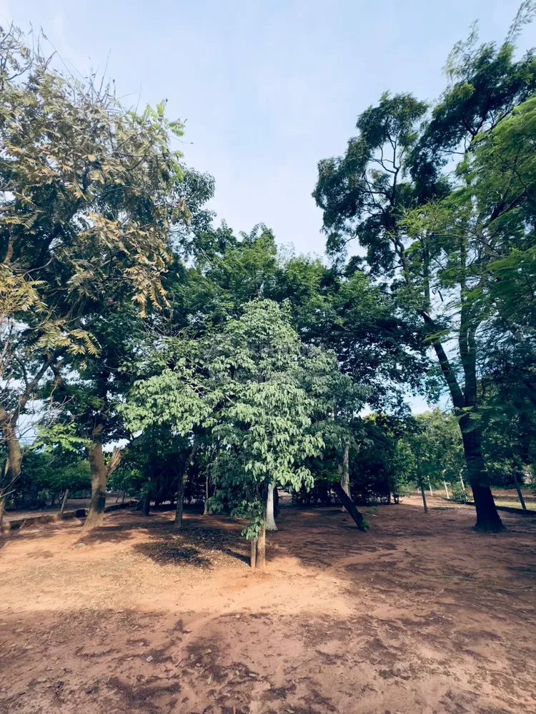 Chácara, 4 quartos, 4000 m² - Foto 7