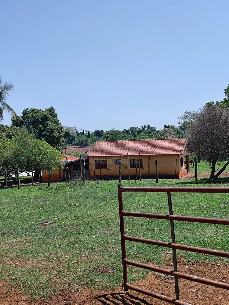 Sítio, 61 hectares - Foto 1