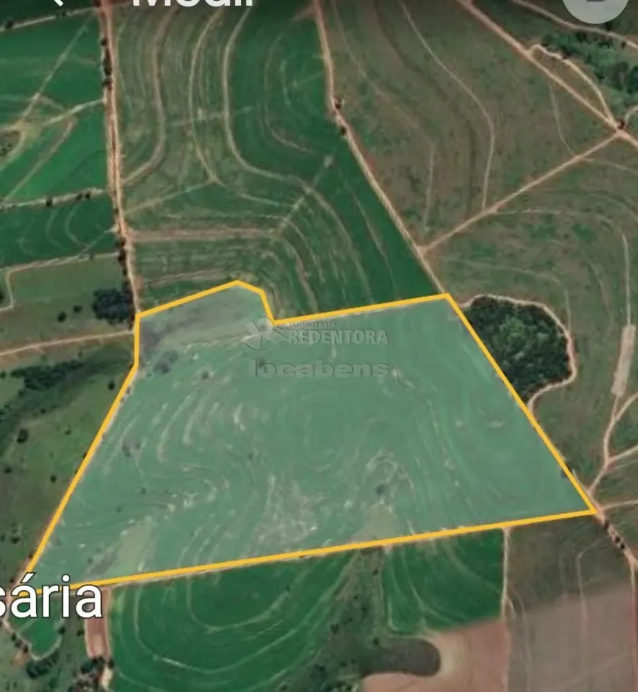Sítio, 61 hectares - Foto 4