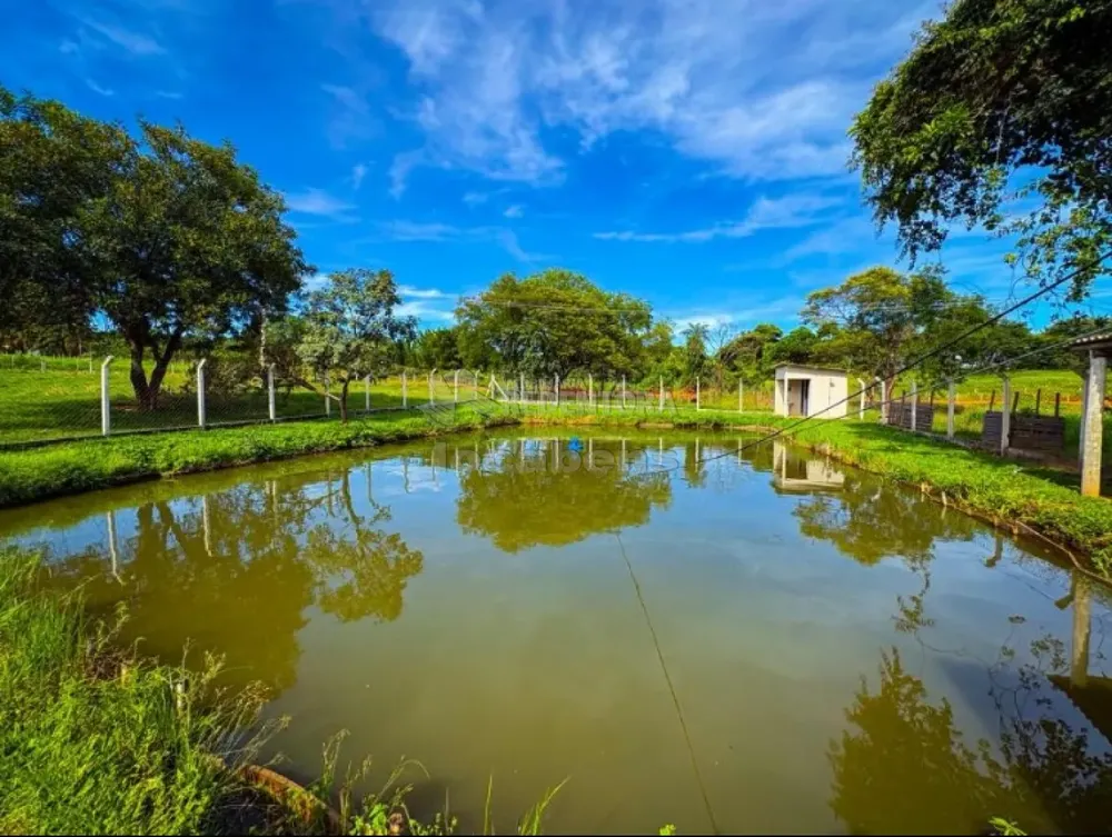 Sítio, 6 quartos, 4 hectares - Foto 3