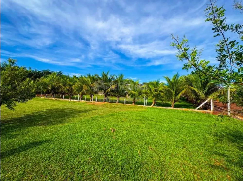 Sítio, 6 quartos, 4 hectares - Foto 4