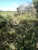 Fazenda, 1462 hectares - Foto 4