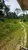 Fazenda, 1462 hectares - Foto 3