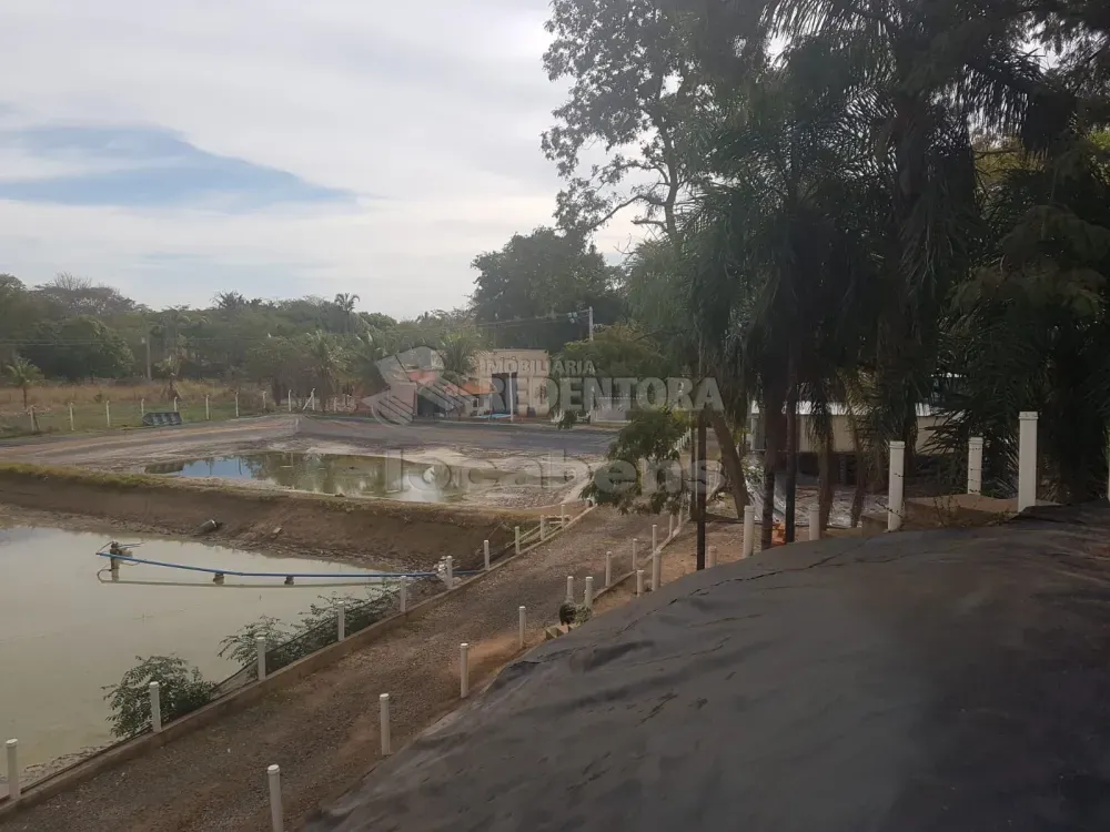 Chácara, 2 hectares - Foto 6