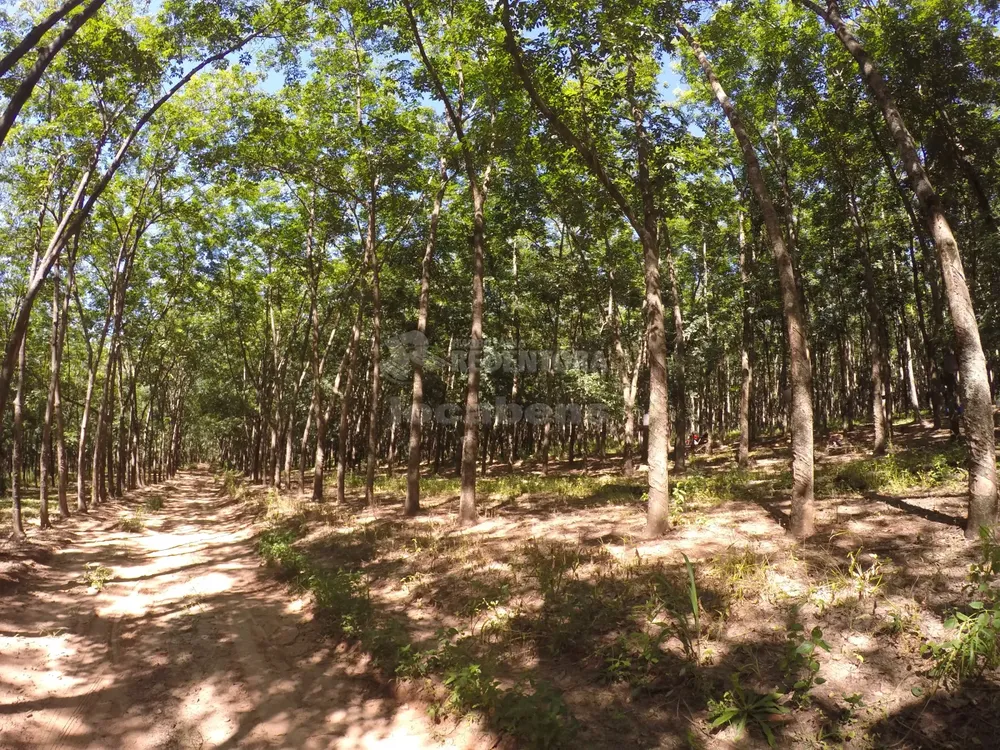 Fazenda, 160 hectares - Foto 4