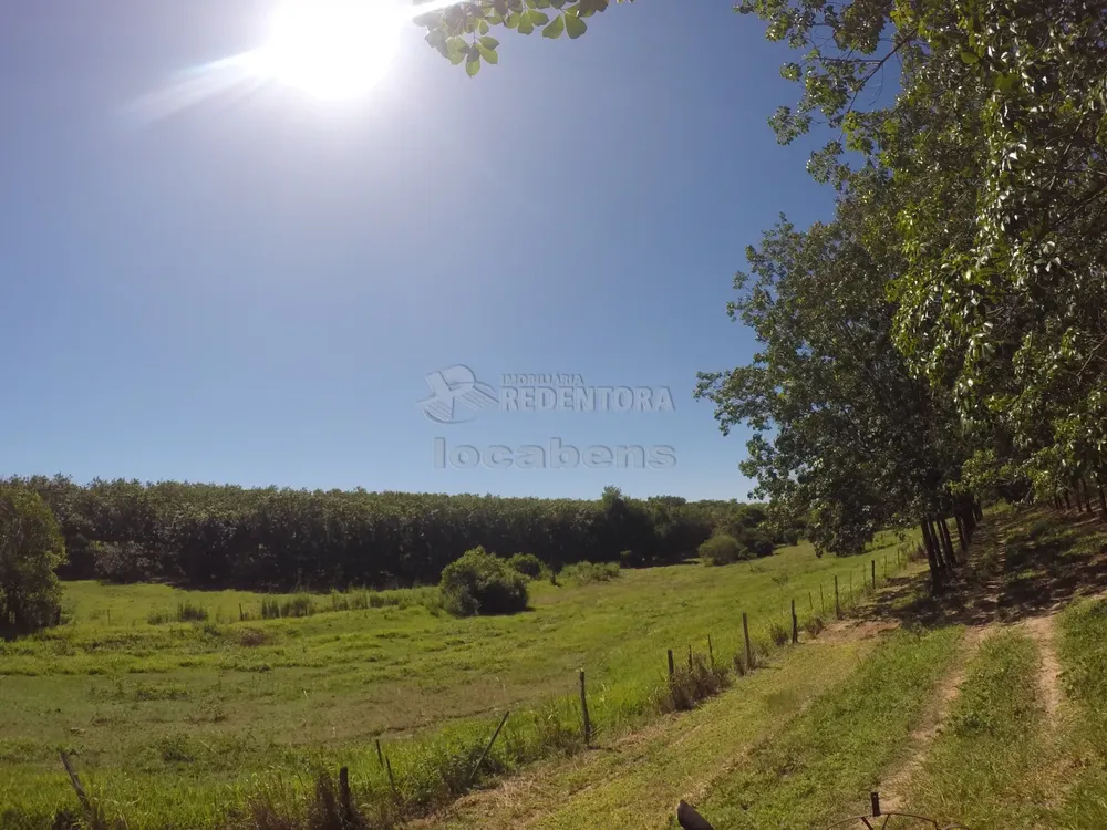 Fazenda, 160 hectares - Foto 1