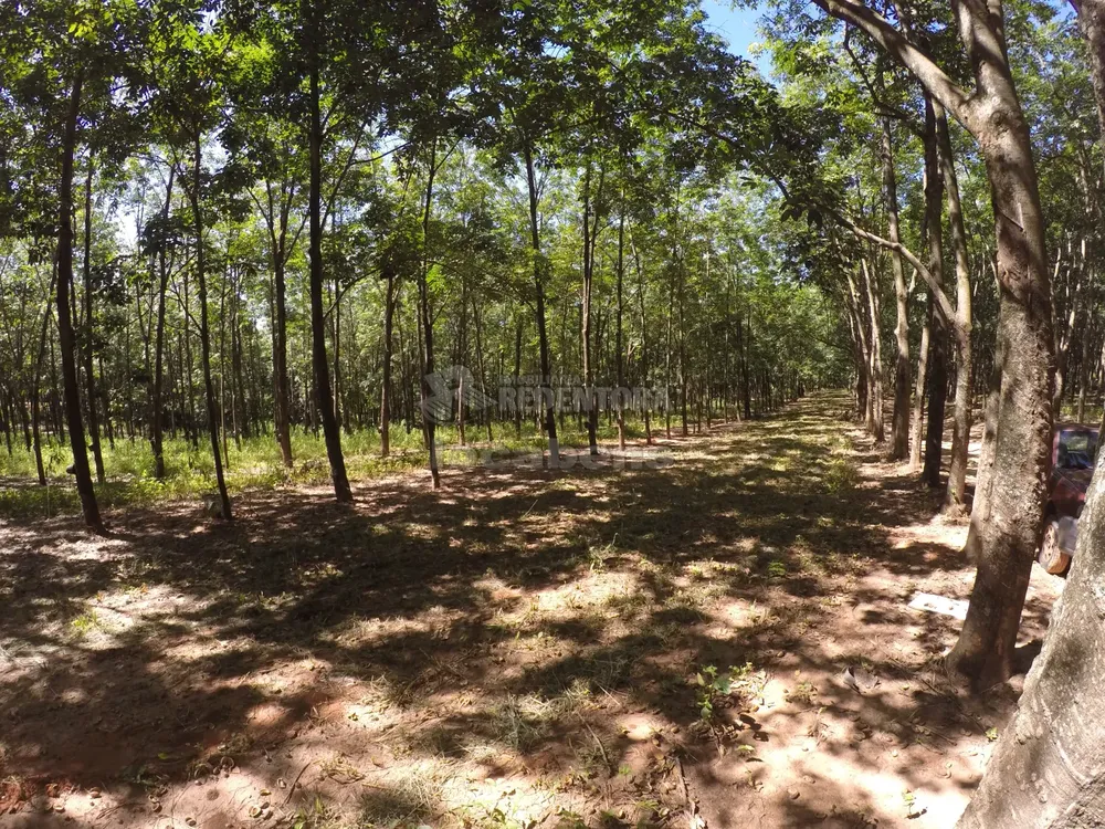 Fazenda, 160 hectares - Foto 2