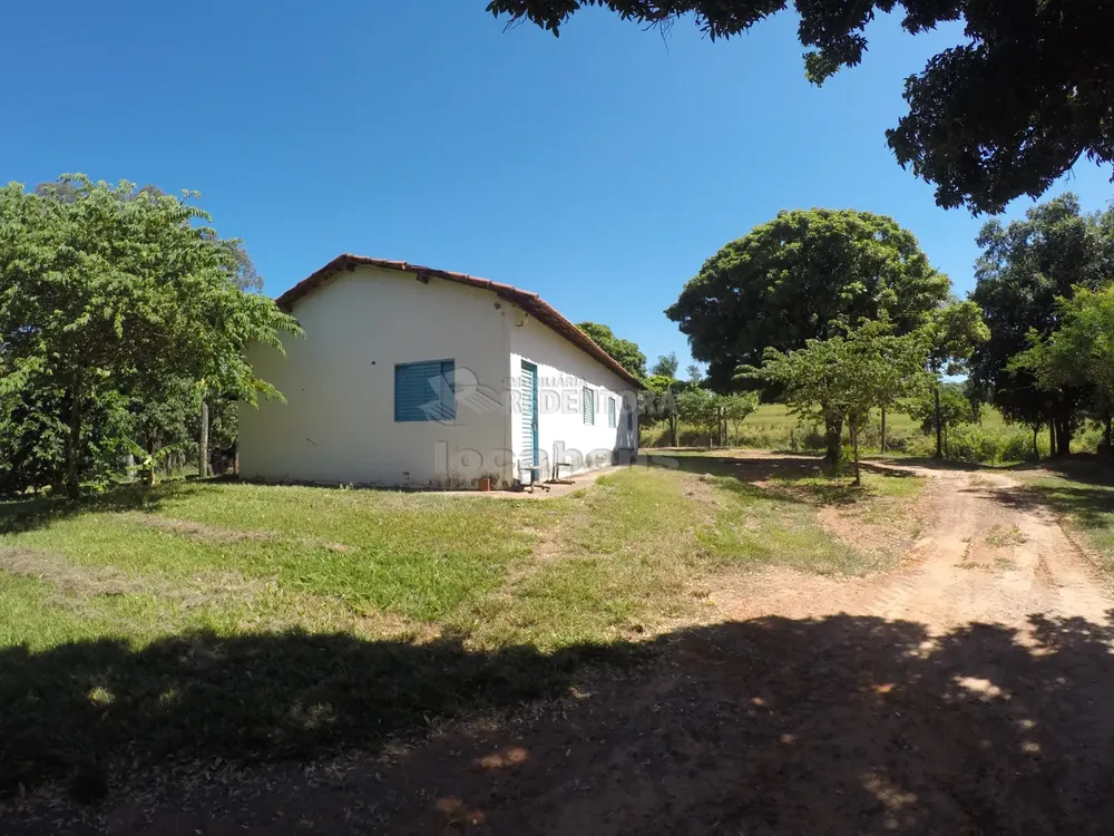 Fazenda, 160 hectares - Foto 6