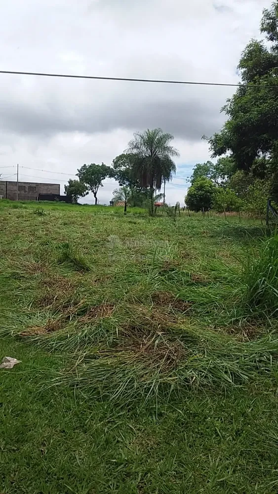 Terreno, 1000 m² - Foto 1