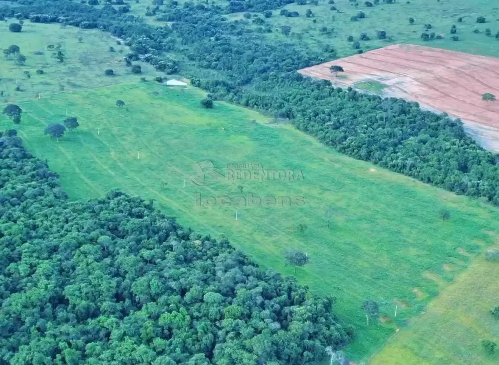 Fazenda, 271 hectares - Foto 8