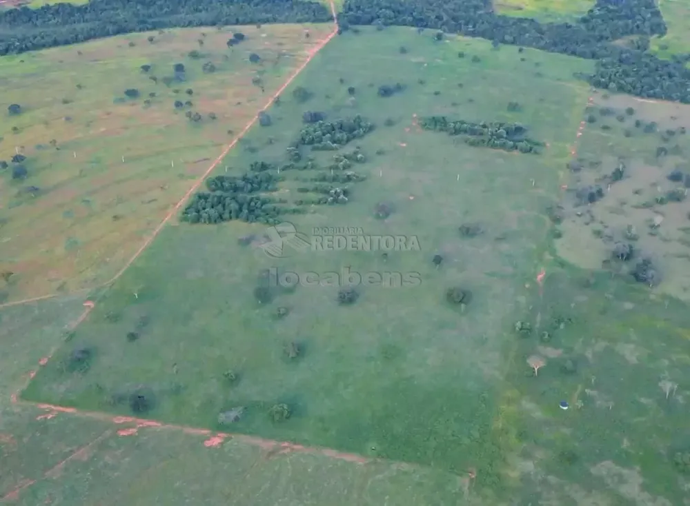 Fazenda, 271 hectares - Foto 6