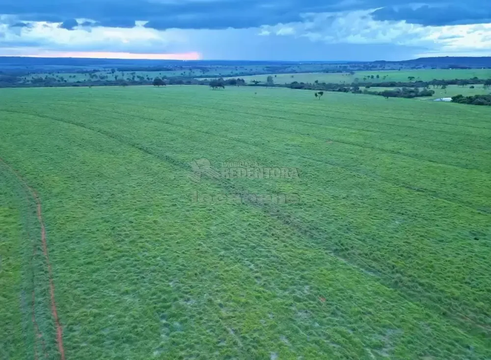 Fazenda, 271 hectares - Foto 4