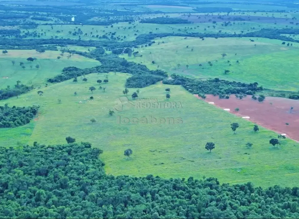 Fazenda, 271 hectares - Foto 5