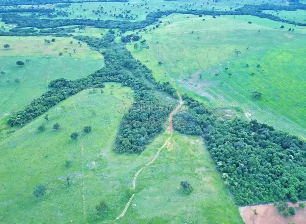 Fazenda, 271 hectares - Foto 7
