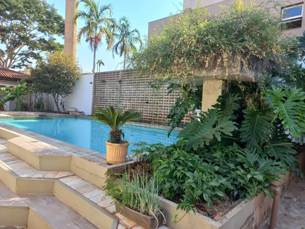 Casa, 4 quartos, 700 m² - Foto 3