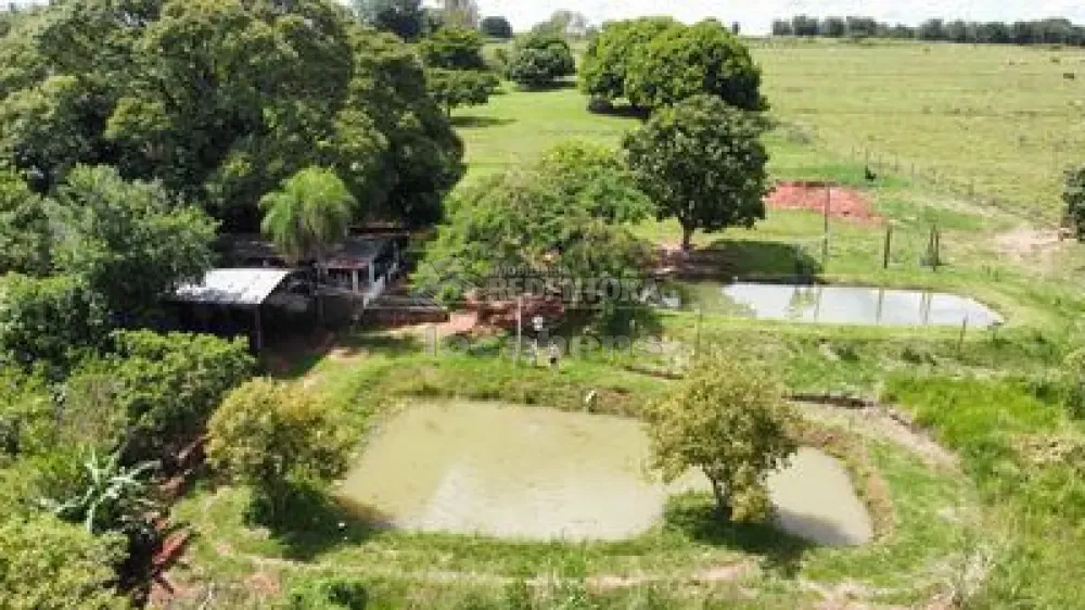 Sítio, 6 quartos, 2 hectares - Foto 7