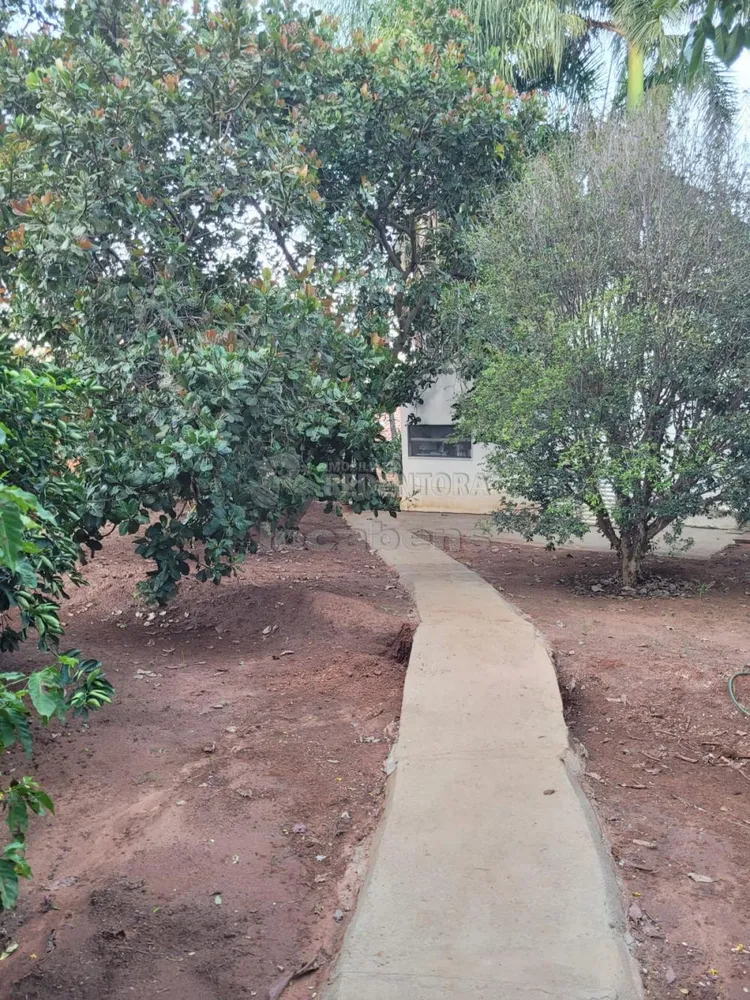 Chácara, 3 quartos, 5 hectares - Foto 1