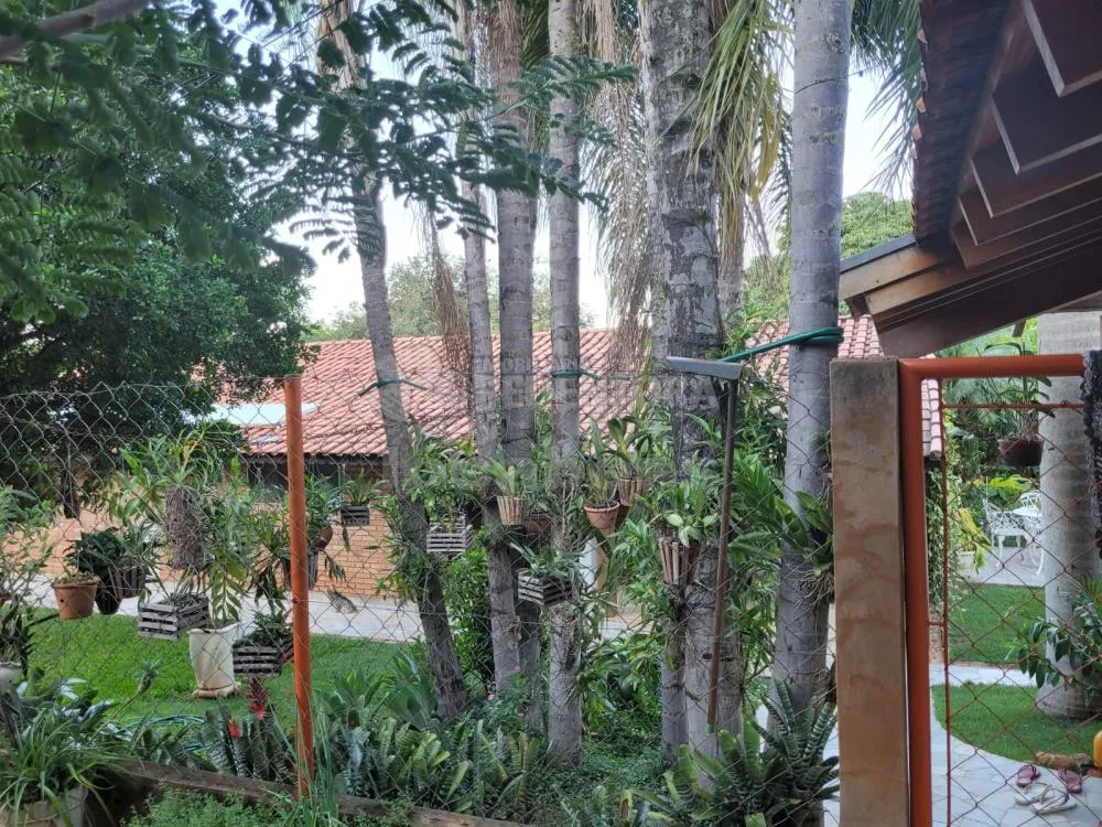 Chácara, 3 quartos, 5 hectares - Foto 2