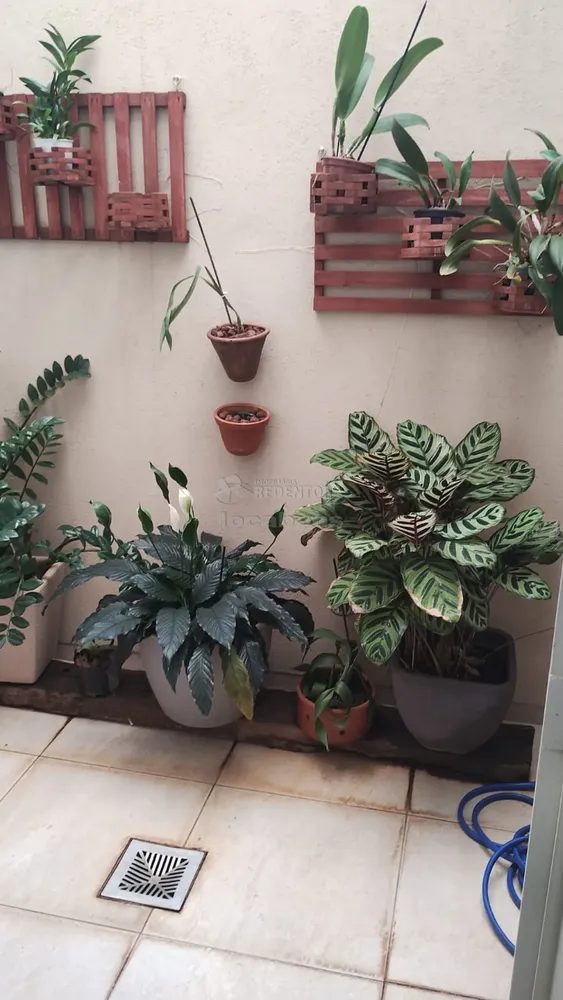 Casa, 3 quartos, 242 m² - Foto 3