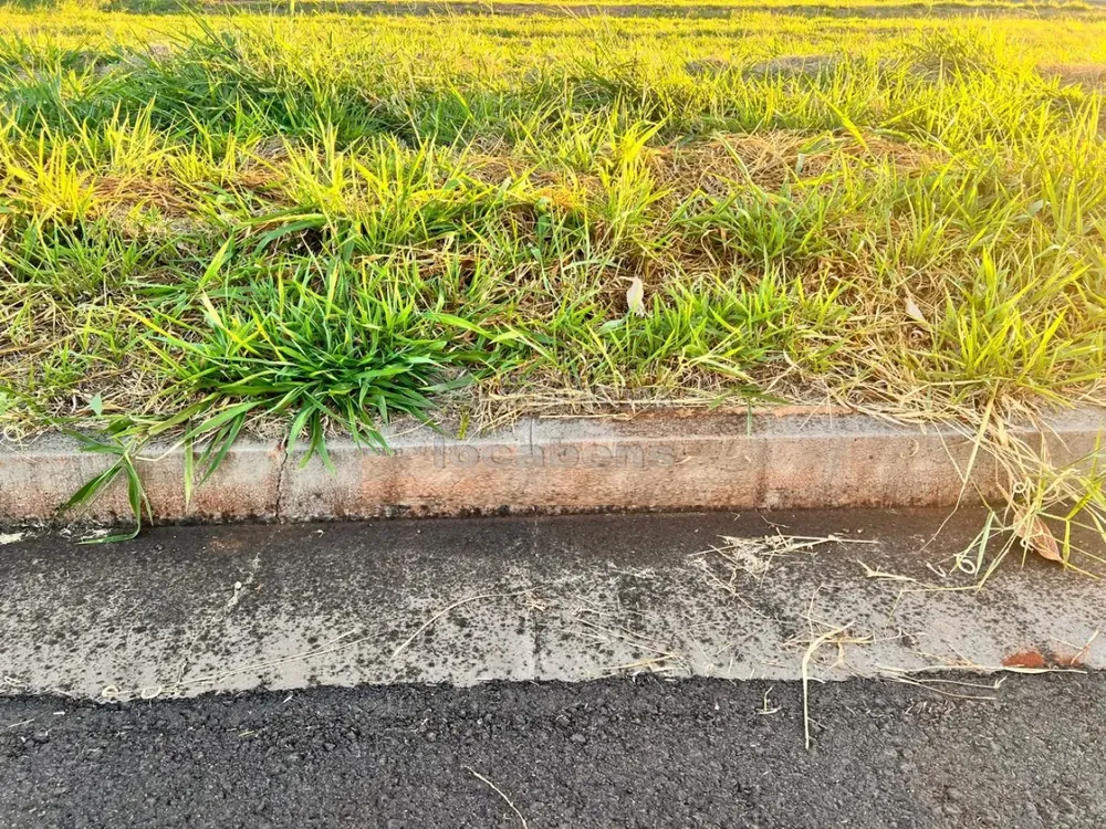 Terreno, 300 m² - Foto 2