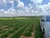 Fazenda-Sítio-Chácara, 35 hectares - Foto 2