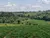Fazenda-Sítio-Chácara, 35 hectares - Foto 4