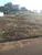 Terreno, 200 m² - Foto 3