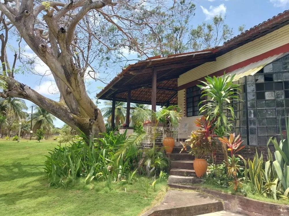 Chácara, 4 quartos, 4 hectares - Foto 10