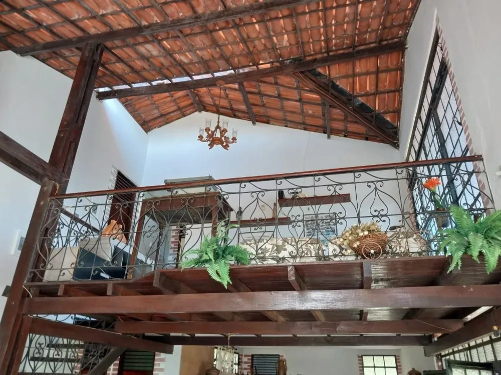 Chácara, 4 quartos, 4 hectares - Foto 12