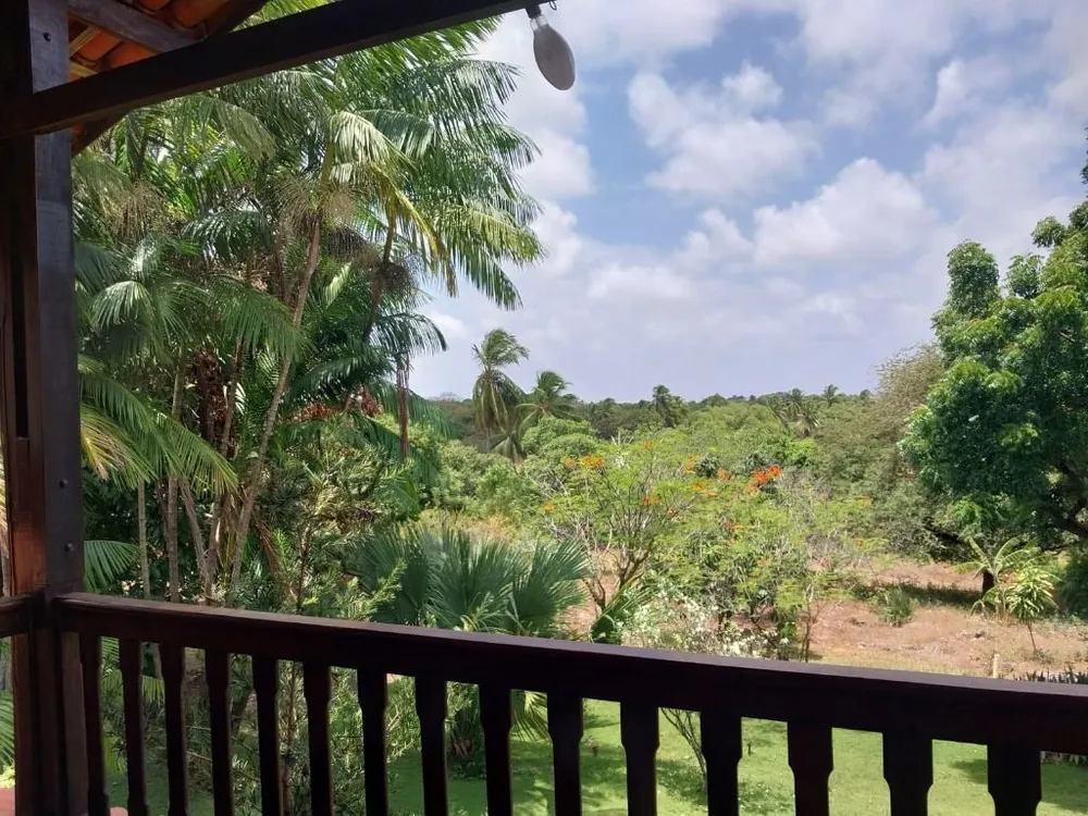 Chácara, 4 quartos, 4 hectares - Foto 15