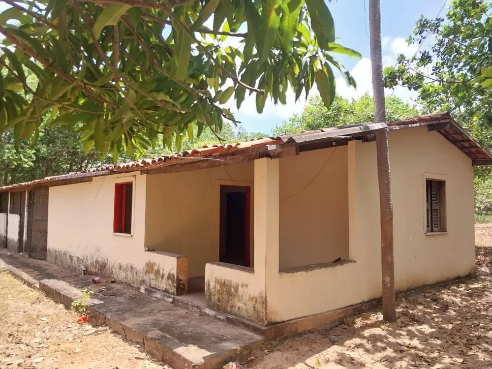 Chácara, 4 quartos, 4 hectares - Foto 9