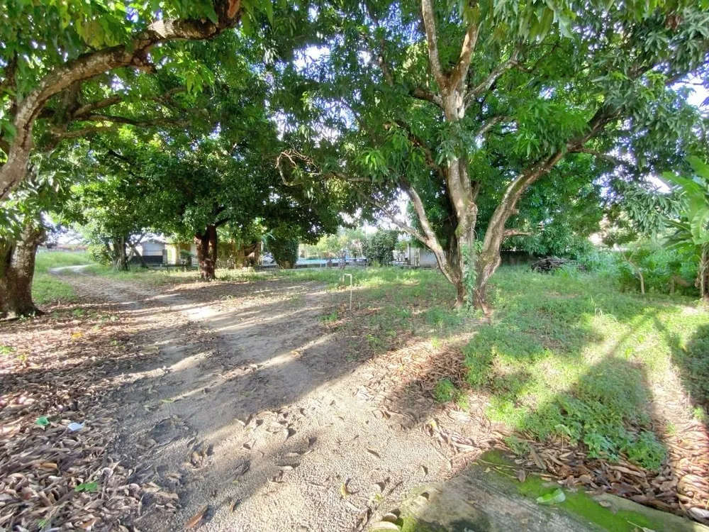 Terreno, 2590 m² - Foto 11