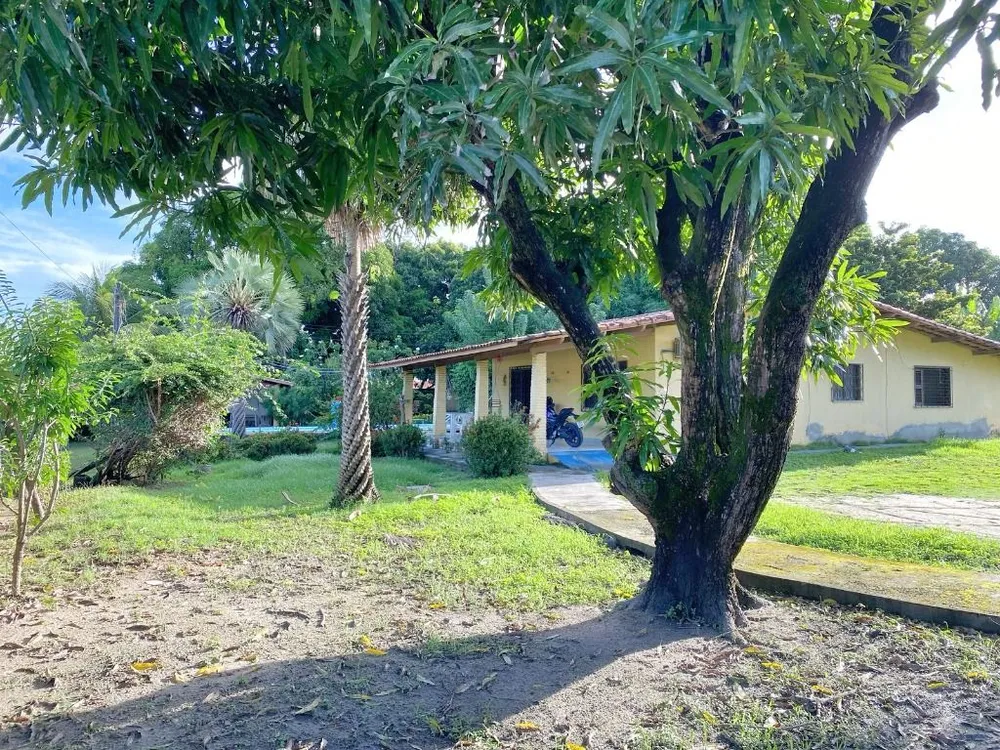 Terreno, 2590 m² - Foto 7
