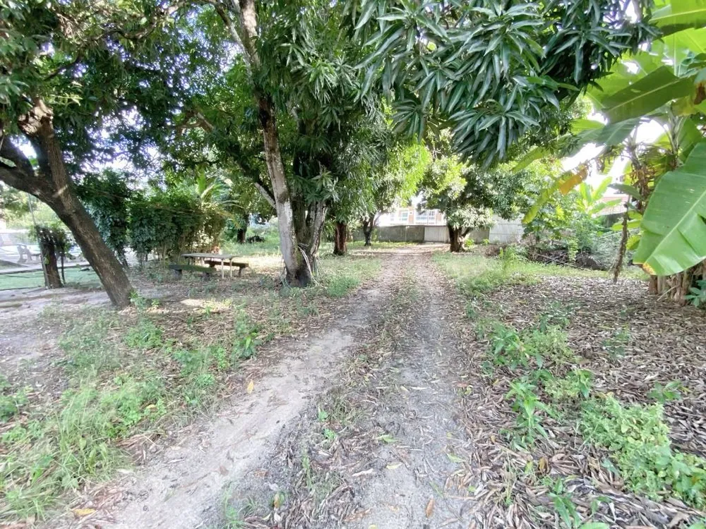 Terreno, 2590 m² - Foto 2