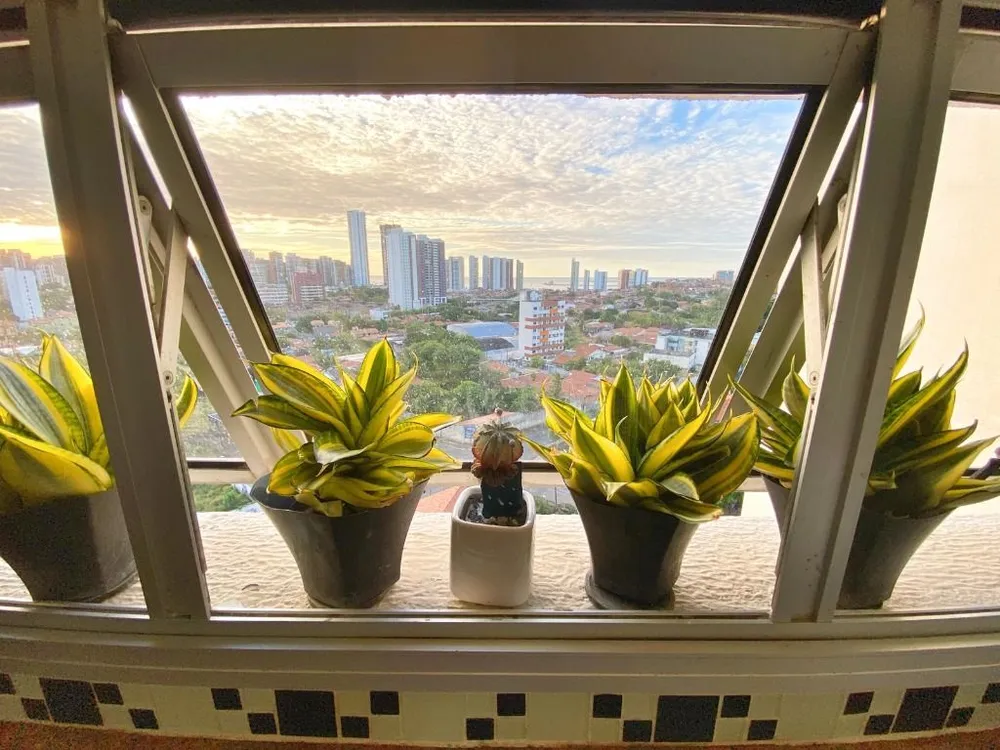 Apartamento, 3 quartos, 118 m² - Foto 3